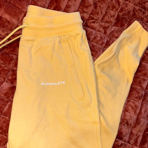 Alphalete Jogger Leggings - Picture 2 of 3